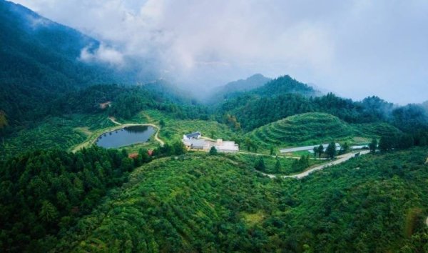 湖北通山：一叶生、一链深、一方兴