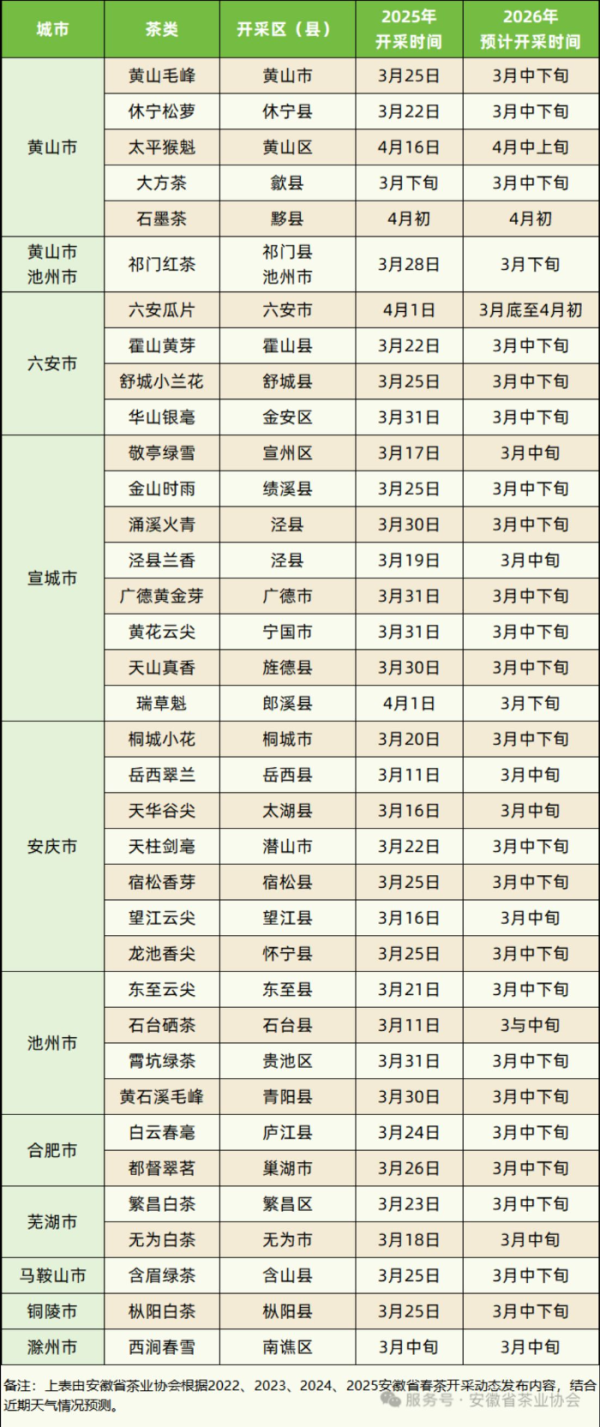 安徽春茶即将开采 预计今年品质优于往年
