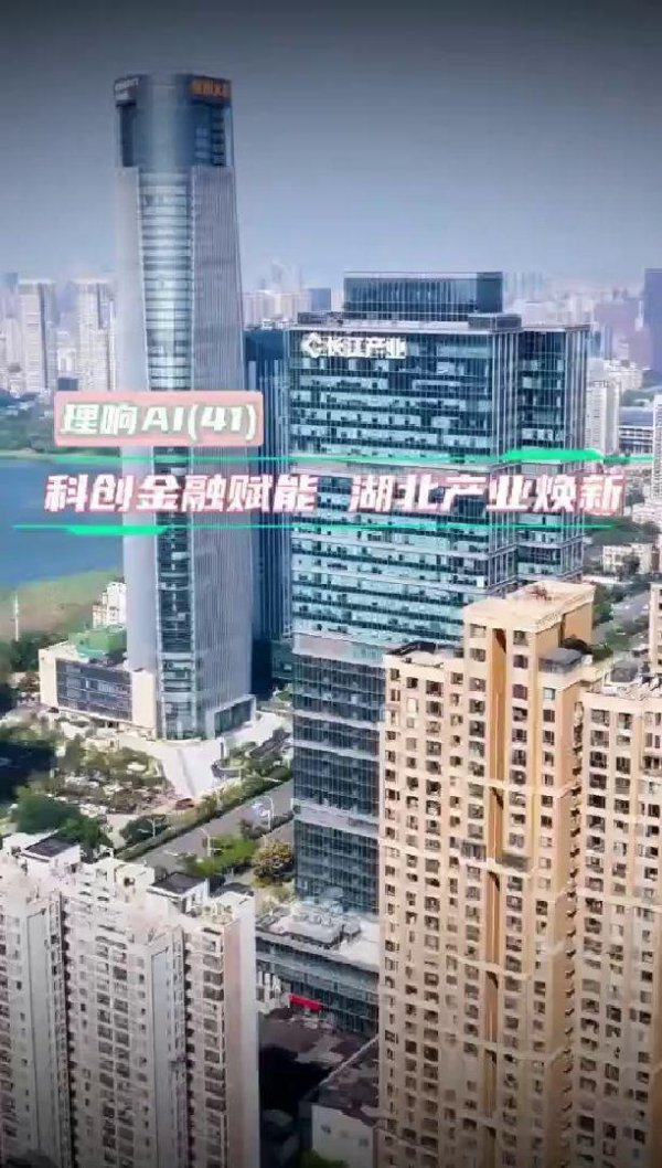 【理响AI】喻平：科创金融赋能，湖北产业焕新