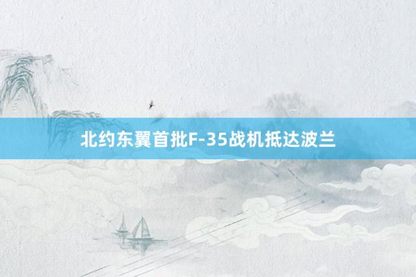 北约东翼首批F-35战机抵达波兰