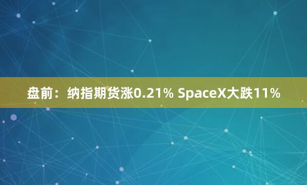 盘前：纳指期货涨0.21% SpaceX大跌11%