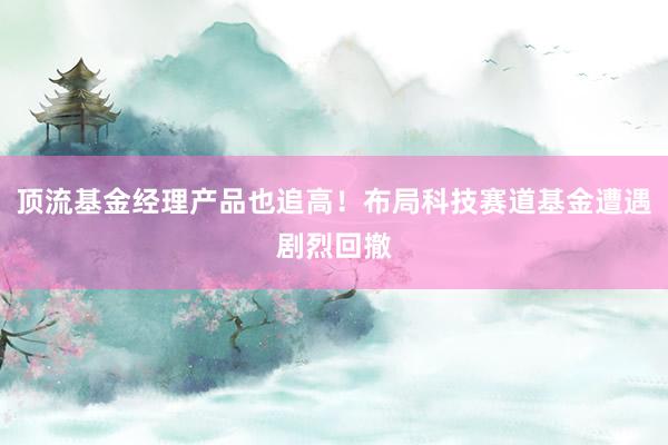 顶流基金经理产品也追高！布局科技赛道基金遭遇剧烈回撤