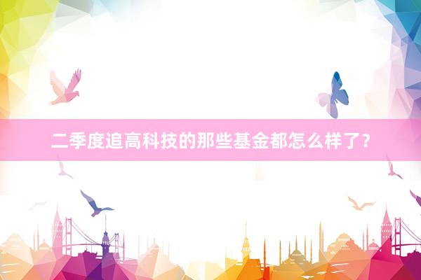 二季度追高科技的那些基金都怎么样了？
