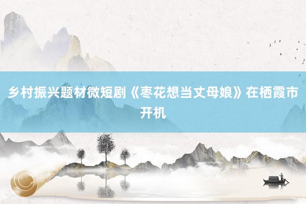 乡村振兴题材微短剧《枣花想当丈母娘》在栖霞市开机