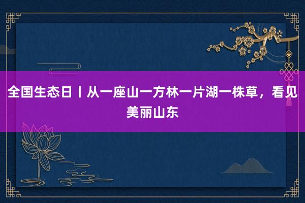 全国生态日丨从一座山一方林一片湖一株草，看见美丽山东