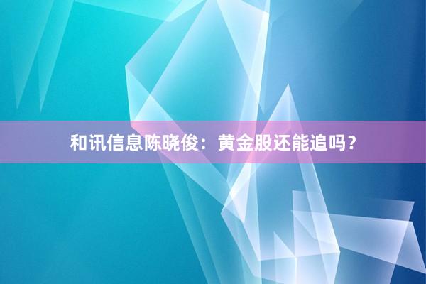 和讯信息陈晓俊：黄金股还能追吗？