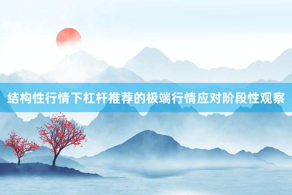 结构性行情下杠杆推荐的极端行情应对阶段性观察