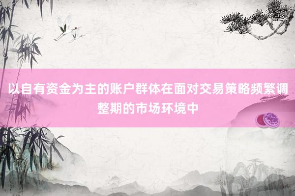 以自有资金为主的账户群体在面对交易策略频繁调整期的市场环境中