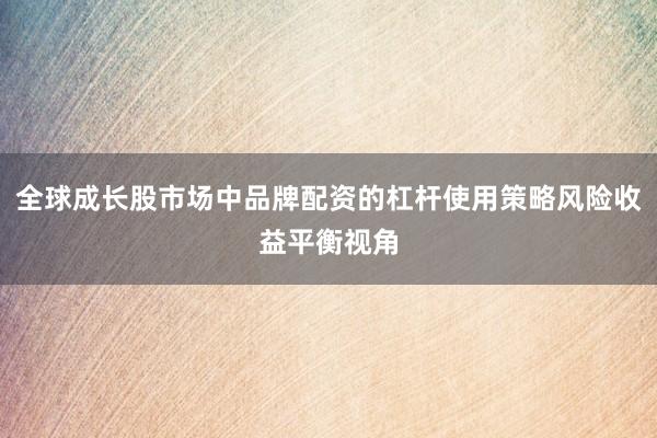 全球成长股市场中品牌配资的杠杆使用策略风险收益平衡视角