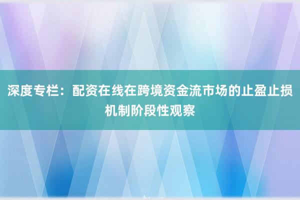 深度专栏：配资在线在跨境资金流市场的止盈止损机制阶段性观察