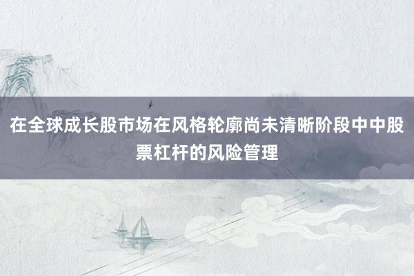 在全球成长股市场在风格轮廓尚未清晰阶段中中股票杠杆的风险管理