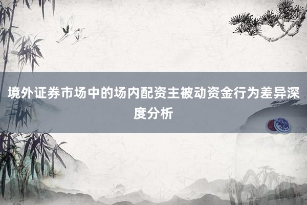 境外证券市场中的场内配资主被动资金行为差异深度分析