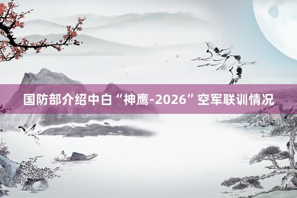 国防部介绍中白“神鹰-2026”空军联训情况