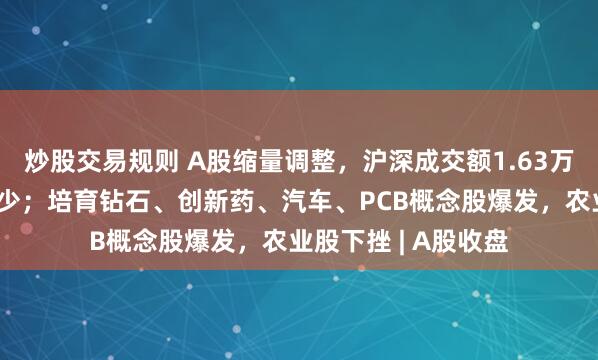 炒股交易规则 A股缩量调整，沪深成交额1.63万亿元，个股涨多跌少；培育钻石、创新药、汽车、PCB概念股爆发，农业股下挫 | A股收盘
