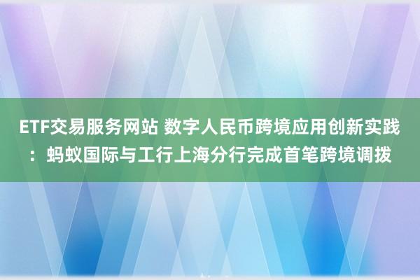 ETF交易服务网站 数字人民币跨境应用创新实践：蚂蚁国际与工行上海分行完成首笔跨境调拨