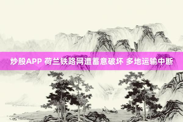 炒股APP 荷兰铁路网遭蓄意破坏 多地运输中断