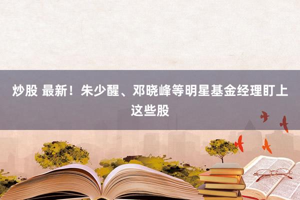 炒股 最新！朱少醒、邓晓峰等明星基金经理盯上这些股